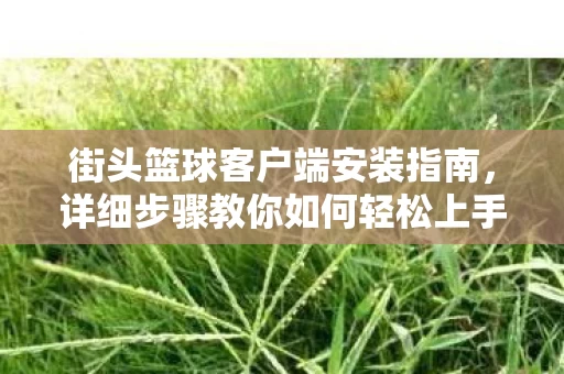 详细步骤教你如何轻松上手图片