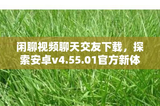 闲聊视频聊天交友下载图片
