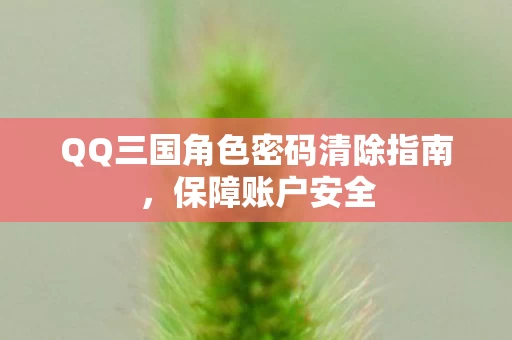 QQ三国角色密码清除指南图片
