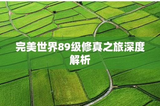 完美世界89级修真之旅深度解析图片