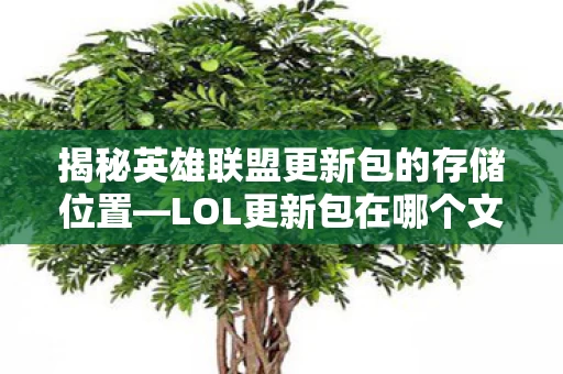 揭秘英雄联盟更新包的存储位置图片