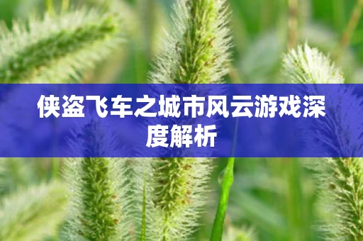 侠盗飞车之城市风云游戏深度解析图片