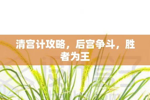 清宫计攻略图片