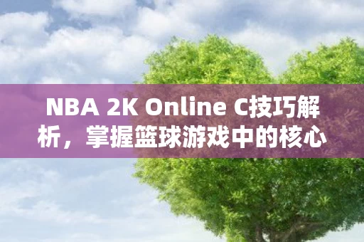 NBA 2K Online C技巧解析图片