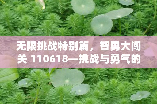 智勇大闯关 110618图片