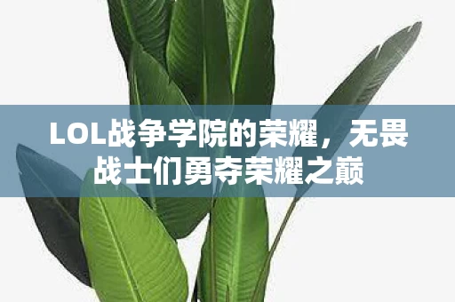 无畏战士们勇夺荣耀之巅图片