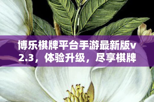 博乐棋牌平台手游最新版v2图片