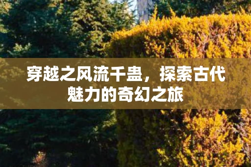 探索古代魅力的奇幻之旅图片