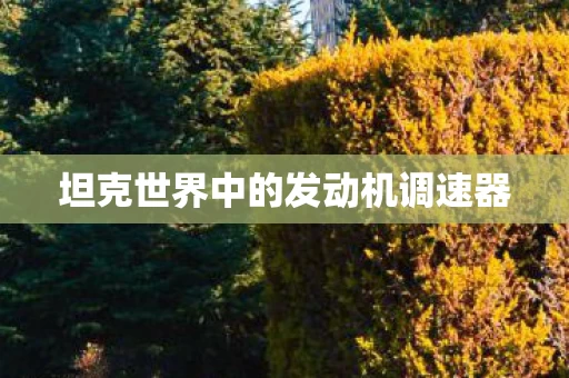 坦克世界中的发动机调速器图片