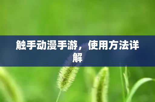 触手动漫手游图片