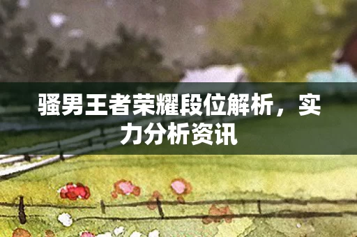 骚男王者荣耀段位解析图片