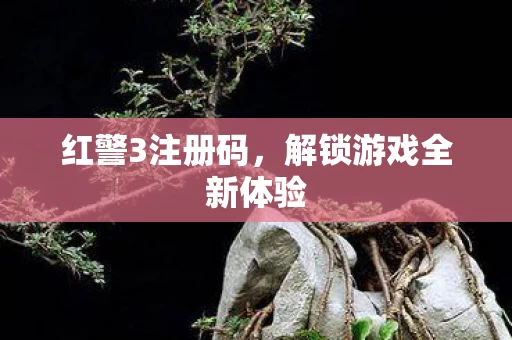 解锁游戏全新体验图片