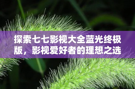 探索七七影视大全蓝光终极版图片