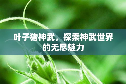 探索神武世界的无尽魅力图片