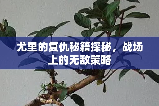 尤里的复仇秘籍探秘图片