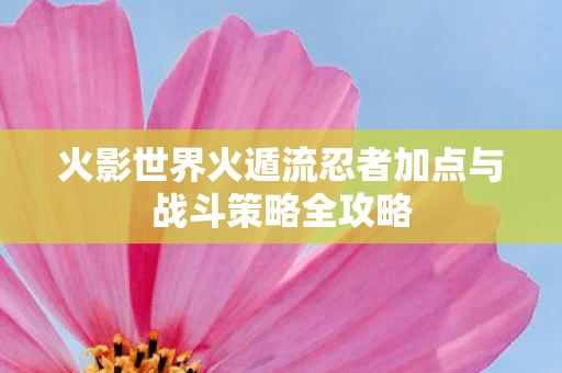火影世界火遁流忍者加点与战斗策略全攻略图片