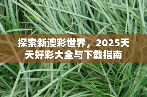 2025天天好彩大全与下载指南图片