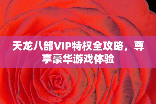 天龙八部VIP特权全攻略图片