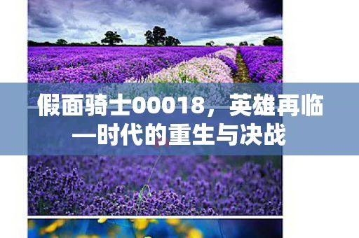 假面骑士00018图片