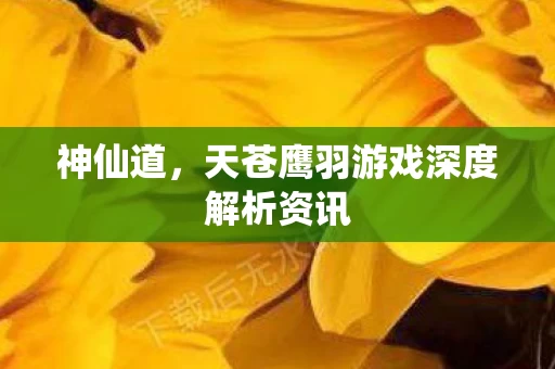 天苍鹰羽游戏深度解析资讯图片