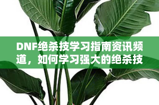 DNF绝杀技学习指南资讯频道图片