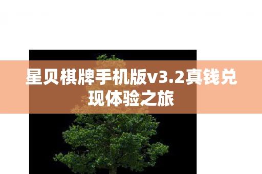 星贝棋牌手机版v3图片
