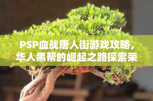 华人黑帮的崛起之路探索荣耀与战火交织的江湖图片
