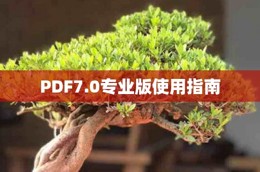 0专业版使用指南图片