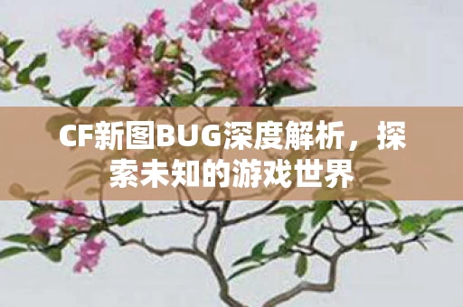 CF新图BUG深度解析图片