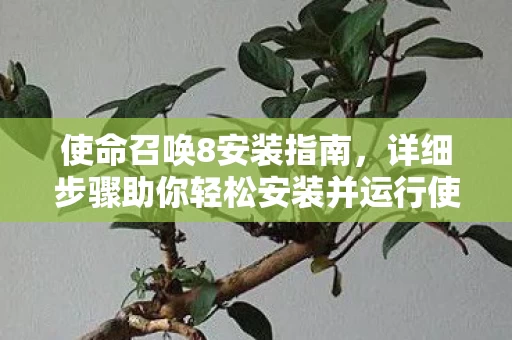 详细步骤助你轻松安装并运行使命召唤8图片
