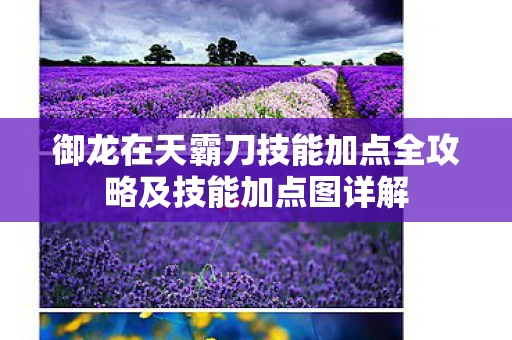 御龙在天霸刀技能加点全攻略及技能加点图详解图片