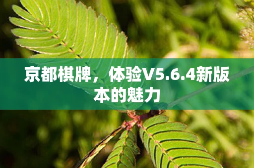 4新版本的魅力图片