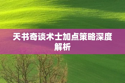 天书奇谈术士加点策略深度解析图片
