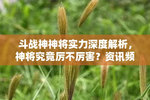 斗战神神将实力深度解析图片
