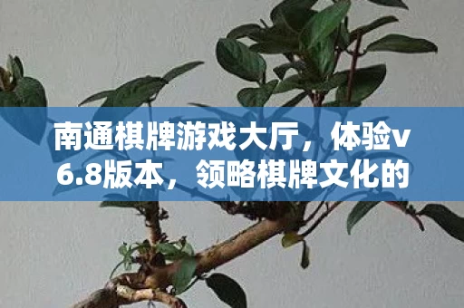 领略棋牌文化的魅力图片