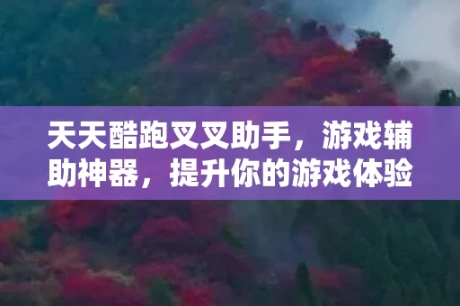 天天酷跑叉叉助手图片