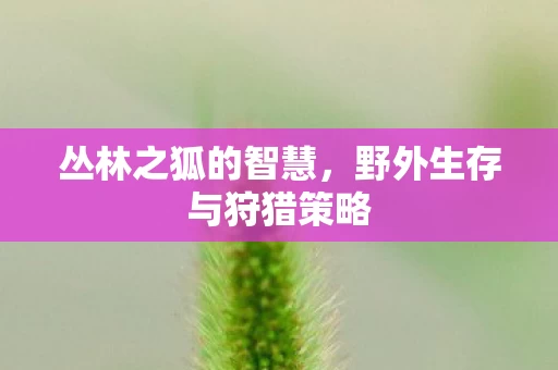 野外生存与狩猎策略图片
