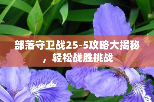 部落守卫战25图片