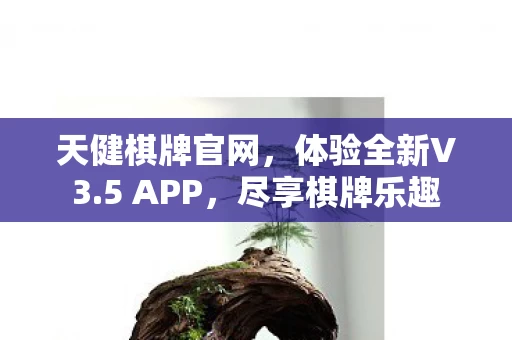 天健棋牌官网图片