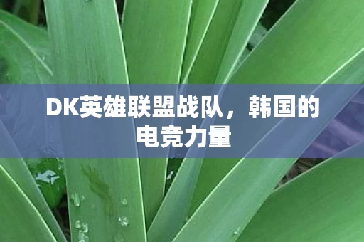 DK英雄联盟战队图片