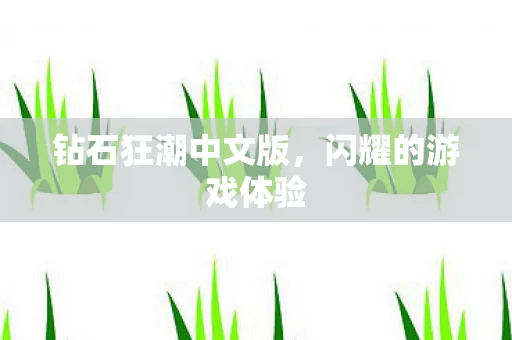 钻石狂潮中文版图片