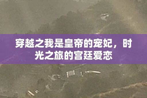 穿越之我是皇帝的宠妃图片
