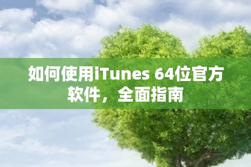 如何使用iTunes 64位官方软件图片