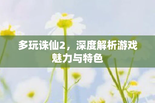深度解析游戏魅力与特色图片