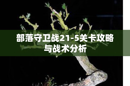 5关卡攻略与战术分析图片