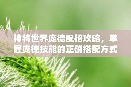 掌握庞德技能的正确搭配方式图片