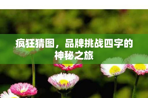 品牌挑战四字的神秘之旅图片