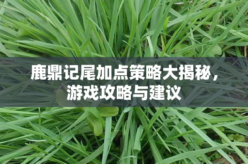 鹿鼎记尾加点策略大揭秘图片