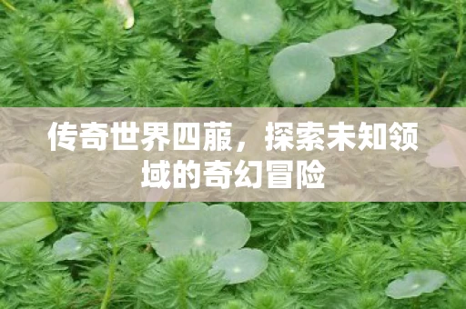 探索未知领域的奇幻冒险图片