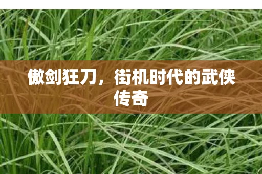 街机时代的武侠传奇图片
